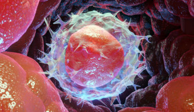 Ovarian Tissue Freezing