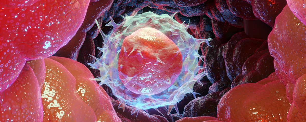 Ovarian Tissue Freezing
