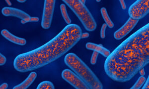 Fusobacterium Endometriosis