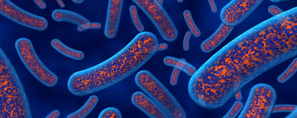 Fusobacterium Endometriosis
