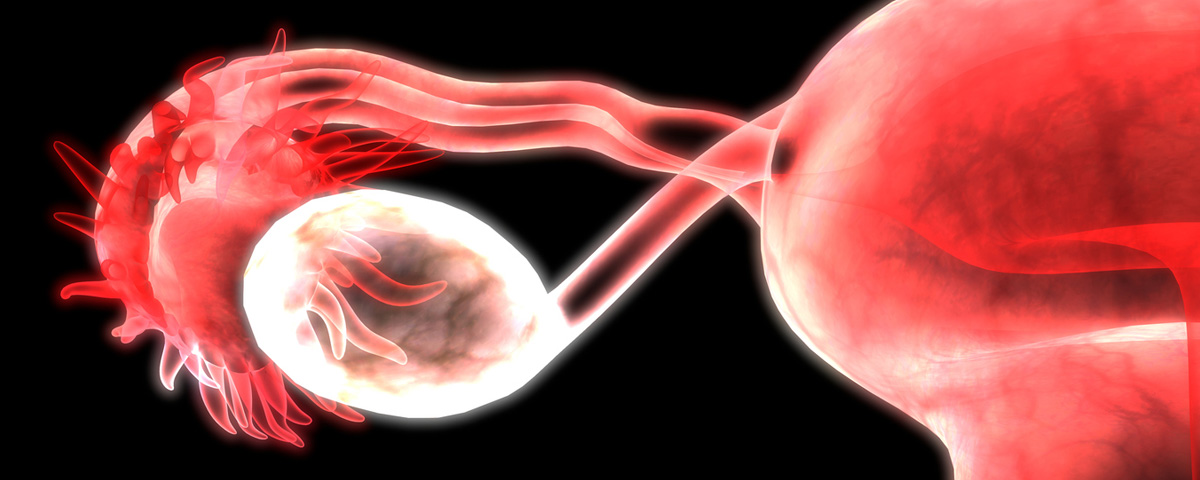 Removal of Fallopian Tube