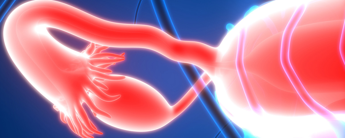 Fallopian Tube Abnormalities