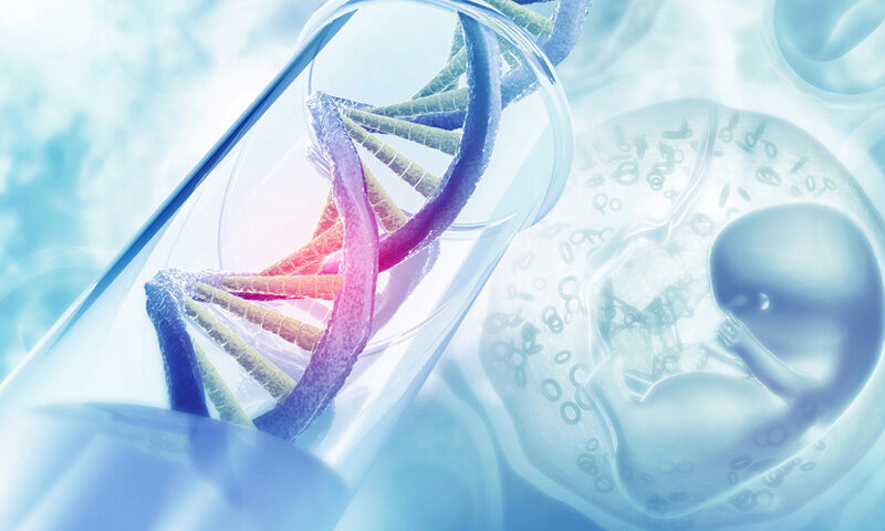 Pre Implantation Genetic Testing