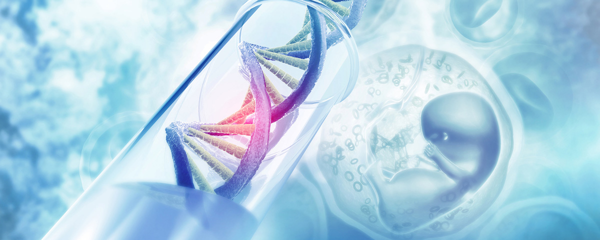 Pre Implantation Genetic Testing