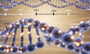 Polycystic Ovary Syndrome